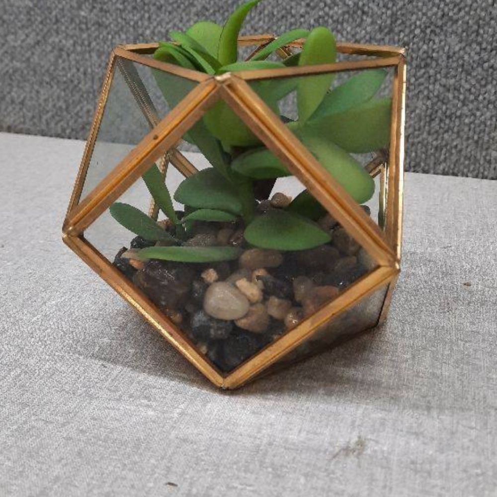 Opalhouse 5" x 4" Artificial Succulent Plant with Brass Terrarium